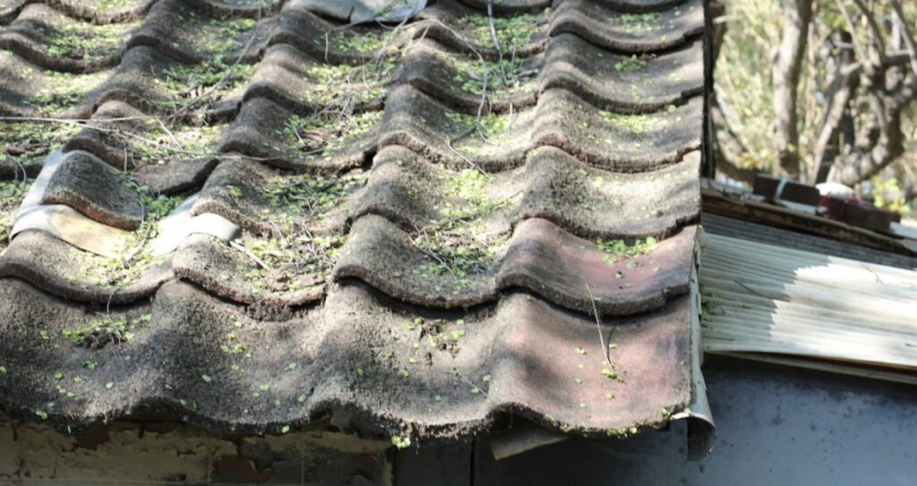 Using asbestos encapsulation methods begins with overboarding and specialist containment setups.