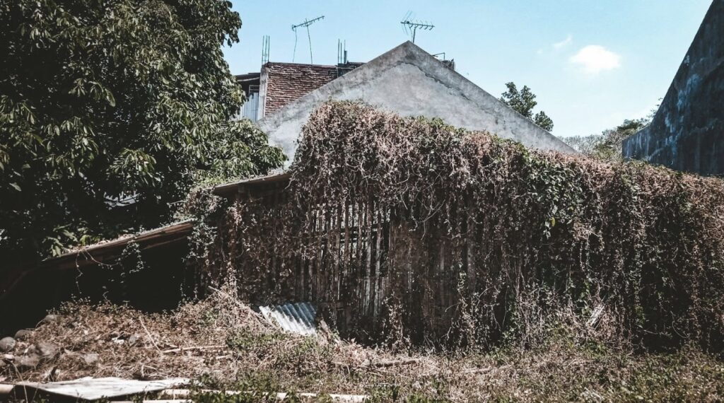 Asbestos poses a myriad of health risks, which required regulatory bodies to come up with safe asbestos management.
